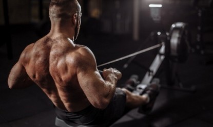 &Theta;&epsilon;&sigmaf; &nu;&alpha; &kappa;ά&psi;&epsilon;&iota;&sigmaf; &lambda;ί&pi;&omicron;&sigmaf; &gamma;&rho;ή&gamma;&omicron;&rho;&alpha;; E&pi;&iota;&sigma;&tau;ή&mu;&omicron;&nu;&epsilon;&sigmaf; &pi;&alpha;&rho;&omicron;&upsilon;&sigma;ί&alpha;&sigma;&alpha;&nu; &tau;&iota;&sigmaf; &pi;&iota;&omicron; &laquo;&theta;&epsilon;&rho;&mu;&iota;&delta;&omicron;&phi;ά&gamma;&epsilon;&sigmaf;&raquo; &alpha;&sigma;&kappa;ή&sigma;&epsilon;&iota;&sigmaf;