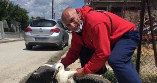 &Theta;&rho;ή&nu;&omicron;&sigmaf; &sigma;&tau;&eta; &Lambda;&alpha;&mu;ί&alpha;: &Pi;έ&theta;&alpha;&nu;&epsilon; &gamma;&nu;&omega;&sigma;&tau;ό&sigmaf; &alpha;&theta;&lambda;&eta;&tau;ή&sigmaf; &tau;&omicron;&upsilon; bodybuilding