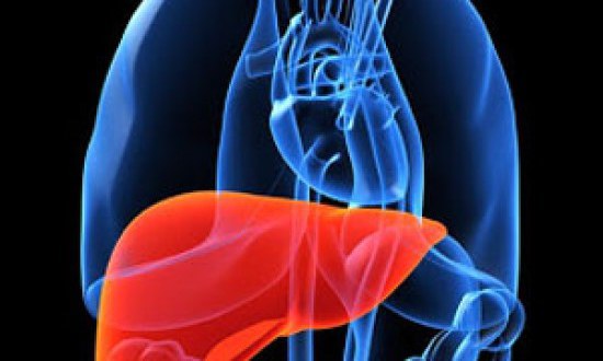 Φτιάξε συκώτι από ατσάλι !!!