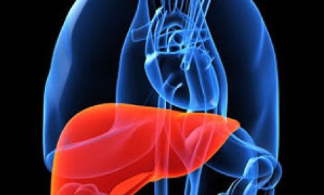 &Phi;&tau;&iota;ά&xi;&epsilon; &sigma;&upsilon;&kappa;ώ&tau;&iota; &alpha;&pi;ό &alpha;&tau;&sigma;ά&lambda;&iota; !!!