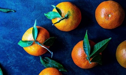 10 &tau;&rho;&omicron;&phi;έ&sigmaf; &pi;&omicron;&upsilon; &theta;&alpha; &sigma;&epsilon; &pi;&rho;&omicron;&sigma;&tau;&alpha;&tau;έ&psi;&omicron;&upsilon;&nu; &alpha;&pi;ό &tau;&eta; &gamma;&rho;ί&pi;&eta;