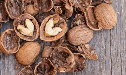 &Kappa;&alpha;&rho;ύ&delta;&iota;&alpha;, ό&tau;&iota; &kappa;&alpha;&lambda;ύ&tau;&epsilon;&rho;&omicron; &gamma;&iota;&alpha; &tau;&omicron;&nu; &omicron;&rho;&gamma;&alpha;&nu;&iota;&sigma;&mu;ό &sigma;&omicron;&upsilon;!