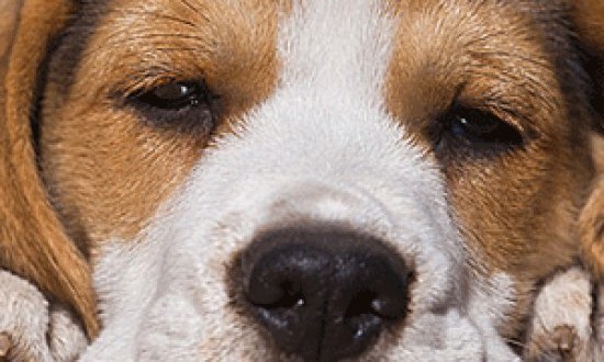 &Upsilon;&pi;&nu;&eta;&lambda;ί&alpha;: 14 tips &gamma;&iota;&alpha; &nu;&alpha; &sigma;&tau;&alpha;&mu;&alpha;&tau;ή&sigma;&epsilon;&tau;&epsilon; &tau;&eta; &nu;ύ&sigma;&tau;&alpha; !!!