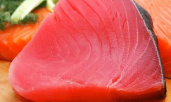 &Omicron;&iota; 22 &kappa;&omicron;&rho;&upsilon;&phi;&alpha;ί&epsilon;&sigmaf; &alpha;&nu;&tau;&iota;&kappa;&alpha;&rho;&kappa;&iota;&nu;&iota;&kappa;έ&sigmaf; &tau;&rho;&omicron;&phi;έ&sigmaf;....