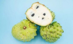 &Tau;&omicron; &pi;&iota;&omicron; &upsilon;&gamma;&iota;&epsilon;&iota;&nu;ό &phi;&rho;&omicron;ύ&tau;&omicron; &tau;&omicron;&upsilon; &kappa;ό&sigma;&mu;&omicron;&upsilon; &pi;&omicron;&upsilon; &delta;&epsilon;&nu; έ&chi;&epsilon;&tau;&epsilon; &alpha;&kappa;&omicron;ύ&sigma;&epsilon;&iota; &kappa;&alpha;&iota; έ&chi;&epsilon;&iota; &alpha;&nu;&tau;&iota;&kappa;&alpha;&rho;&kappa;&iota;&nu;&iota;&kappa;έ&sigmaf; &iota;&delta;&iota;ό&tau;&eta;&tau;&epsilon;&sigmaf;