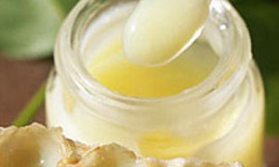 Βασιλικός πολτός: Οι εργάτριες μέλισσες υπηρετούν και τον άνθρωπο