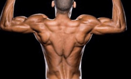 2 προγράμματα πλάτης με ασκήσεις και επαναλήψεις για όγκο στο φουλ (εικόνες) !!!