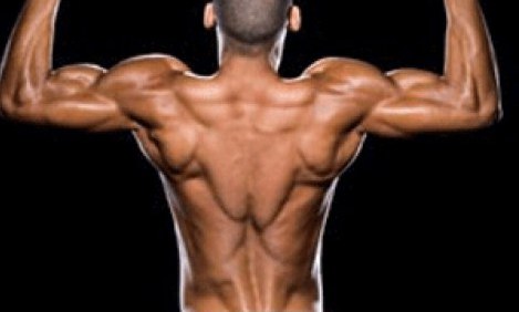 2 &pi;&rho;&omicron;&gamma;&rho;ά&mu;&mu;&alpha;&tau;&alpha; &pi;&lambda;ά&tau;&eta;&sigmaf; &mu;&epsilon; &alpha;&sigma;&kappa;ή&sigma;&epsilon;&iota;&sigmaf; &kappa;&alpha;&iota; &epsilon;&pi;&alpha;&nu;&alpha;&lambda;ή&psi;&epsilon;&iota;&sigmaf; &gamma;&iota;&alpha; ό&gamma;&kappa;&omicron; &sigma;&tau;&omicron; &phi;&omicron;&upsilon;&lambda; (&epsilon;&iota;&kappa;ό&nu;&epsilon;&sigmaf;) !!!