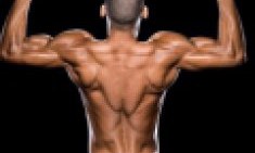 2 &pi;&rho;&omicron;&gamma;&rho;ά&mu;&mu;&alpha;&tau;&alpha; &pi;&lambda;ά&tau;&eta;&sigmaf; &mu;&epsilon; &alpha;&sigma;&kappa;ή&sigma;&epsilon;&iota;&sigmaf; &kappa;&alpha;&iota; &epsilon;&pi;&alpha;&nu;&alpha;&lambda;ή&psi;&epsilon;&iota;&sigmaf; &gamma;&iota;&alpha; ό&gamma;&kappa;&omicron; &sigma;&tau;&omicron; &phi;&omicron;&upsilon;&lambda; (&epsilon;&iota;&kappa;ό&nu;&epsilon;&sigmaf;) !!!