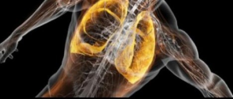 &Pi;&nu;&epsilon;ύ&mu;&omicron;&nu;&epsilon;&sigmaf; &kappa;&alpha;&iota; ά&sigma;&kappa;&eta;&sigma;&eta;