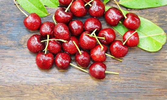 &Tau;&alpha; &kappa;&alpha;&lambda;&omicron;&kappa;&alpha;&iota;&rho;&iota;&nu;ά &phi;&rho;&omicron;ύ&tau;&alpha; &laquo;&pi;&rho;&omicron;&sigma;&tau;ά&tau;&epsilon;&sigmaf;&raquo; &tau;&eta;&sigmaf; &upsilon;&gamma;&epsilon;ί&alpha;&sigmaf;!