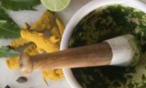 &Delta;&epsilon;ί&tau;&epsilon; &pi;&omega;&sigmaf; &nu;&alpha; &pi;&alpha;&rho;&alpha;&sigma;&kappa;&epsilon;&upsilon;ά&sigma;&epsilon;&tau;&epsilon; &phi;ά&rho;&mu;&alpha;&kappa;&alpha; &alpha;&pi;ό &phi;&upsilon;&tau;ά (&beta;ί&nu;&tau;&epsilon;&omicron;)