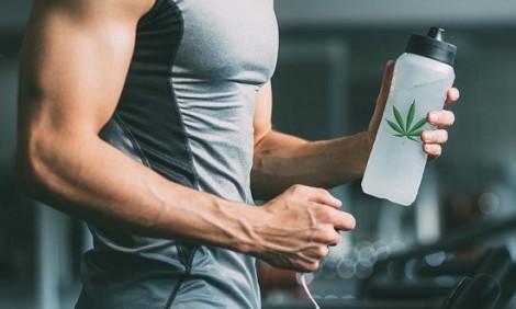 CBD Oil: &Pi;&omicron;&iota;&alpha; &epsilon;ί&nu;&alpha;&iota; &tau;&alpha; &omicron;&phi;έ&lambda;&eta; &tau;&omicron;&upsilon; &gamma;&iota;&alpha; Vegans &amp; &Alpha;&theta;&lambda;&eta;&tau;έ&sigmaf;;