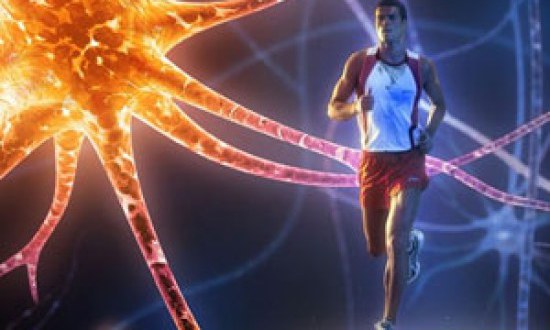 Ο ρόλος του Αθλητικού Ψυχολόγου