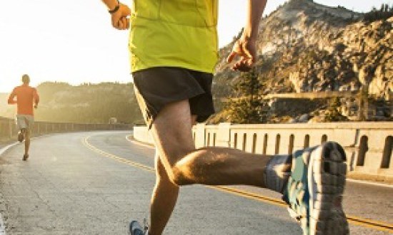 &Omicron; &rho;ό&lambda;&omicron;&sigmaf; &tau;&omega;&nu; &beta;&iota;&tau;&alpha;&mu;&iota;&nu;ώ&nu; &sigma;&tau;&eta; &zeta;&omega;ή &tau;&omicron;&upsilon; &alpha;&theta;&lambda;&eta;&tau;ή