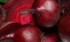 10 &tau;&rho;&omicron;&phi;έ&sigmaf; &gamma;&iota;&alpha; super &alpha;&pi;&omicron;&tau;&omicron;&xi;ί&nu;&omega;&sigma;&eta; !!!