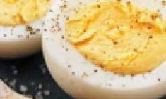 11 &tau;&rho;&omicron;&phi;έ&sigmaf; &pi;&omicron;&upsilon; &ldquo;&kappa;ό&beta;&omicron;&upsilon;&nu;&rdquo; &mu;&alpha;&chi;&alpha;ί&rho;&iota; &tau;&eta;&nu; ό&rho;&epsilon;&xi;&eta; !!!