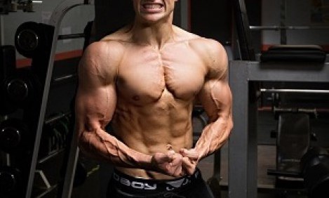 &Alpha;&pi;ό &sigma;&chi;&epsilon;&delta;ό&nu;... &alpha;&nu;ά&pi;&eta;&rho;&omicron;&sigmaf; &sigma;&tau;&alpha; &laquo;&sigma;&alpha;&lambda;ό&nu;&iota;&alpha;&raquo; &tau;&omicron;&upsilon; bodybuilding