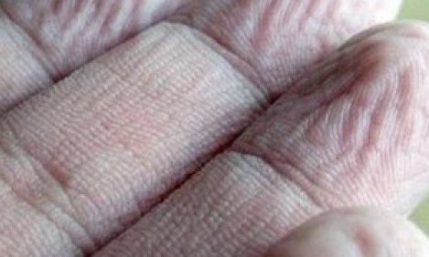 &Alpha;&Pi;&Iota;&Sigma;&Tau;&Epsilon;&Upsilon;&Tau;&Omicron;: &Gamma;&iota;&alpha;&tau;ί &mu;&omicron;&upsilon;&lambda;&iota;ά&zeta;&omicron;&upsilon;&nu; &tau;&alpha; &chi;έ&rho;&iota;&alpha; &sigma;&alpha;&sigmaf; &sigma;&tau;&omicron; &nu;&epsilon;&rho;ό;