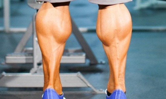 &Gamma;ά&mu;&pi;&epsilon;&sigmaf;: &Pi;ό&sigma;&omicron; &sigma;&upsilon;&chi;&nu;ά &kappa;&alpha;&iota; &pi;ό&sigma;&omicron; &delta;&upsilon;&nu;&alpha;&tau;ά &pi;&rho;έ&pi;&epsilon;&iota; &nu;&alpha; &pi;&rho;&omicron;&pi;&omicron;&nu;&omicron;ύ&nu;&tau;&alpha;&iota;