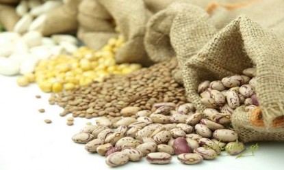 &Tau;&alpha; ό&sigma;&pi;&rho;&iota;&alpha; &chi;&omicron;&rho;&tau;&alpha;ί&nu;&omicron;&upsilon;&nu; &kappa;&alpha;&lambda;ύ&tau;&epsilon;&rho;&alpha; &alpha;&pi;ό &tau;&omicron; &kappa;&rho;έ&alpha;&sigmaf;