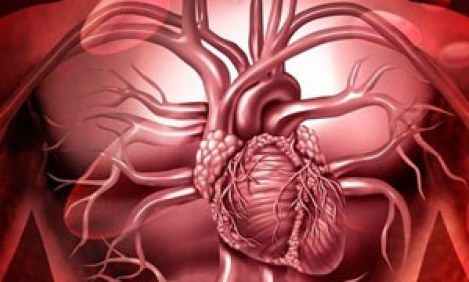 &Alpha;&theta;&lambda;&eta;&tau;&iota;&kappa;ή &kappa;&alpha;&rho;&delta;&iota;ά-&Tau;&iota; &nu;&alpha; &pi;&rho;&omicron;&sigma;έ&xi;&epsilon;&tau;&epsilon;