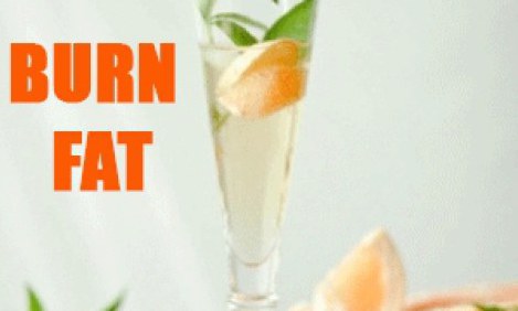 5 &tau;&rho;&omicron;&phi;έ&sigmaf; &pi;&omicron;&upsilon; &alpha;&gamma;&alpha;&pi;ά &omicron; &mu;&epsilon;&tau;&alpha;&beta;&omicron;&lambda;&iota;&sigma;&mu;ό&sigmaf; &amp; &mu;&iota;&sigma;&epsilon;ί &tau;&omicron; &lambda;ί&pi;&omicron;&sigmaf;!!!