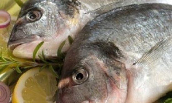 &Psi;ά&rho;&iota;&alpha;: &Pi;&omicron;&lambda;ύ&tau;&iota;&mu;&eta; &tau;&rho;&omicron;&phi;ή &pi;&lambda;&omicron;ύ&sigma;&iota;&alpha; &sigma;&epsilon; &beta;&iota;&tau;&alpha;&mu;ί&nu;&epsilon;&sigmaf; &kappa;&alpha;&iota; &iota;&chi;&nu;&omicron;&sigma;&tau;&omicron;&iota;&chi;&epsilon;ί&alpha;