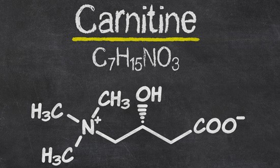&Chi;&rho;ή&sigma;&eta; &sigma;&upsilon;&mu;&pi;&lambda;&eta;&rho;&omega;&mu;ά&tau;&omega;&nu; &kappa;&alpha;&rho;&nu;&iota;&tau;ί&nu;&eta;&sigmaf; (L-Carnitine)