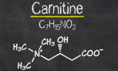 &Chi;&rho;ή&sigma;&eta; &sigma;&upsilon;&mu;&pi;&lambda;&eta;&rho;&omega;&mu;ά&tau;&omega;&nu; &kappa;&alpha;&rho;&nu;&iota;&tau;ί&nu;&eta;&sigmaf; (L-Carnitine)