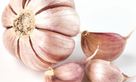 &Sigma;&kappa;ό&rho;&delta;&omicron;: &Eta; &delta;&upsilon;&nu;&alpha;&tau;ή &gamma;&epsilon;ύ&sigma;&eta; &mu;&epsilon; &iota;&delta;&iota;ό&tau;&eta;&tau;&epsilon;&sigmaf; &kappa;&alpha;&iota; &pi;&lambda;&epsilon;&omicron;&nu;&epsilon;&kappa;&tau;ή&mu;&alpha;&tau;&alpha;