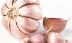 &Sigma;&kappa;ό&rho;&delta;&omicron;: &Eta; &delta;&upsilon;&nu;&alpha;&tau;ή &gamma;&epsilon;ύ&sigma;&eta; &mu;&epsilon; &iota;&delta;&iota;ό&tau;&eta;&tau;&epsilon;&sigmaf; &kappa;&alpha;&iota; &pi;&lambda;&epsilon;&omicron;&nu;&epsilon;&kappa;&tau;ή&mu;&alpha;&tau;&alpha;